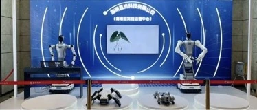 昌岚机器人入驻海南迎宾馆AI与具身智能展示中心